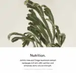 Abib Jericho Rose Creme - Image 5