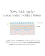 Round Lab Soybean Nourishing Cream - Image 3