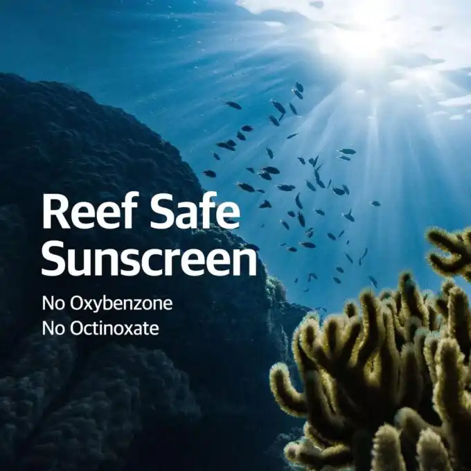 Round Lab Birch Juice Moisturizing UVLock SPF 45 - Image 5