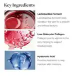 Anti-aging Brightening Bundle - Image 10