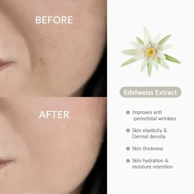 Dr.Althea Rapid Firm Sculpting Cream - Image 3