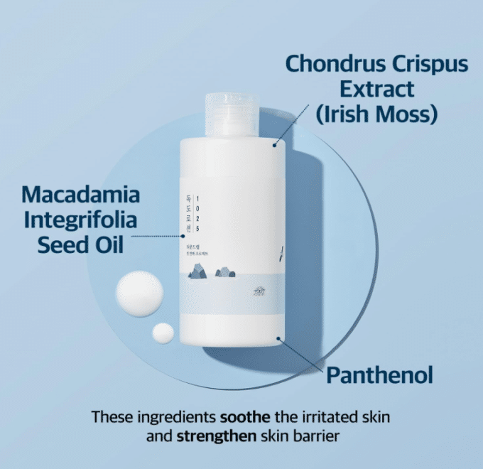 Round Lab Dokdo Lotion - Image 2